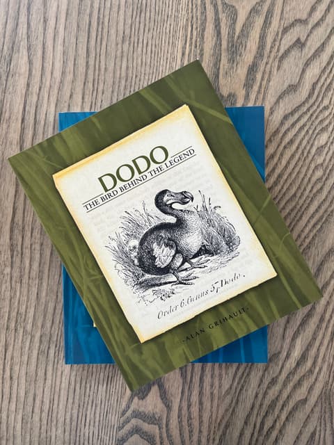 Livre Dodo - ENG