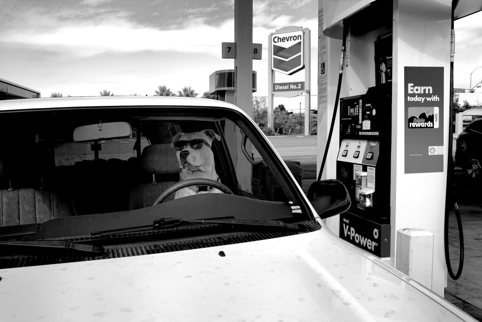Born to drive