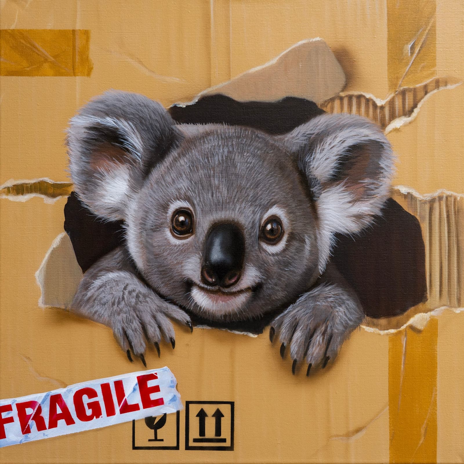 Koala