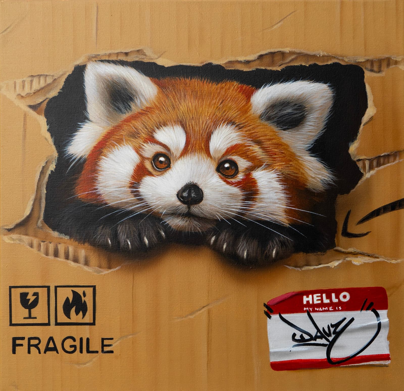 Panda Roux
