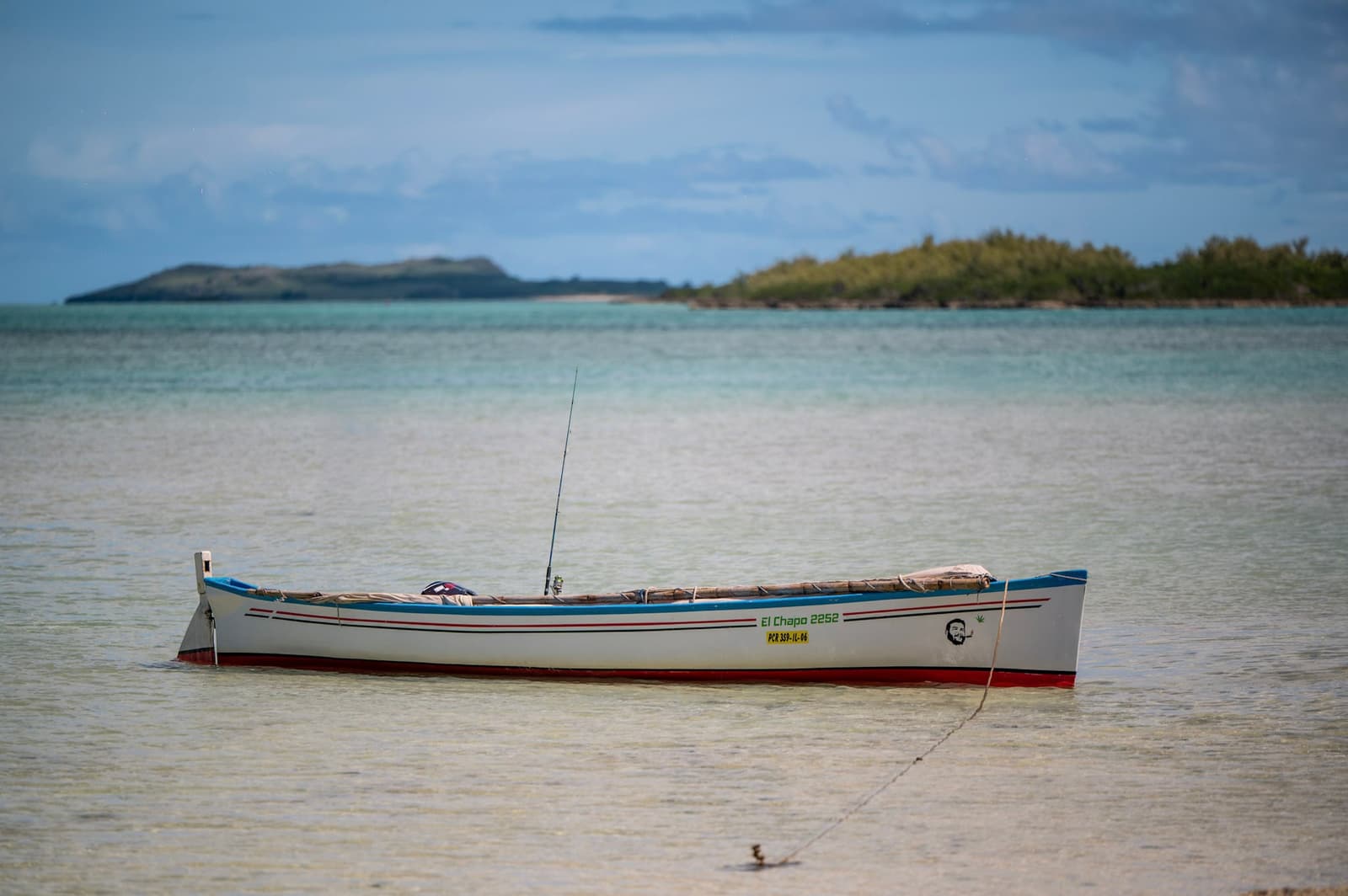 Rodrigues by Natty