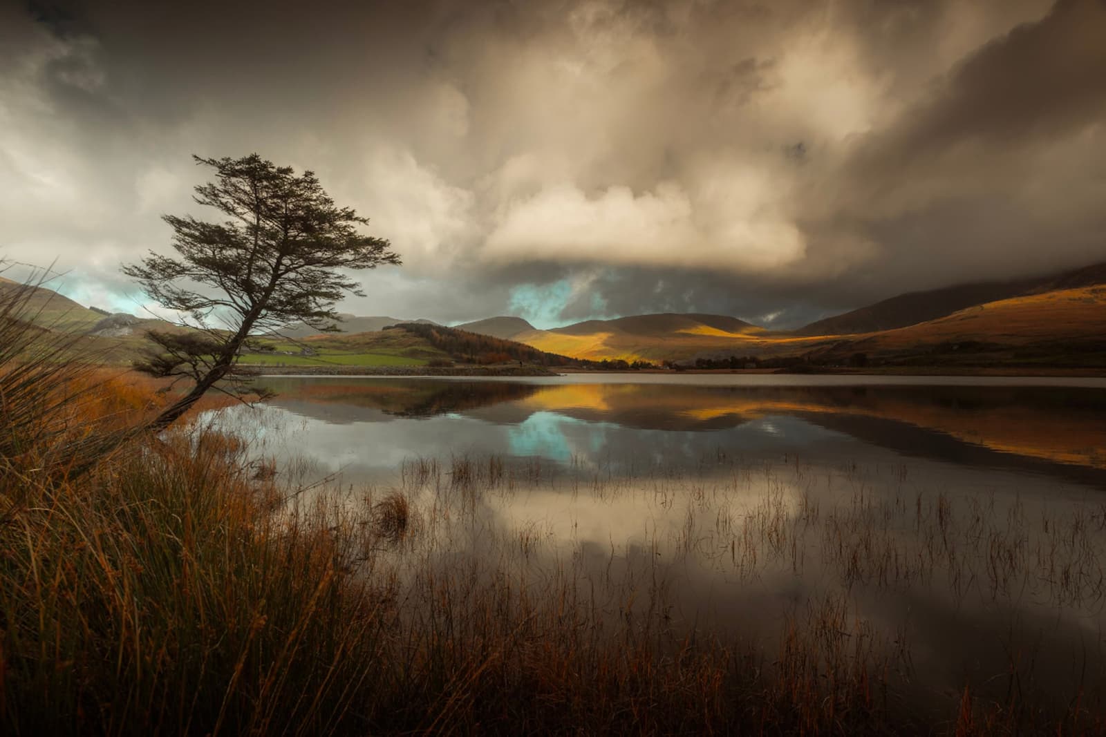 Lakeside