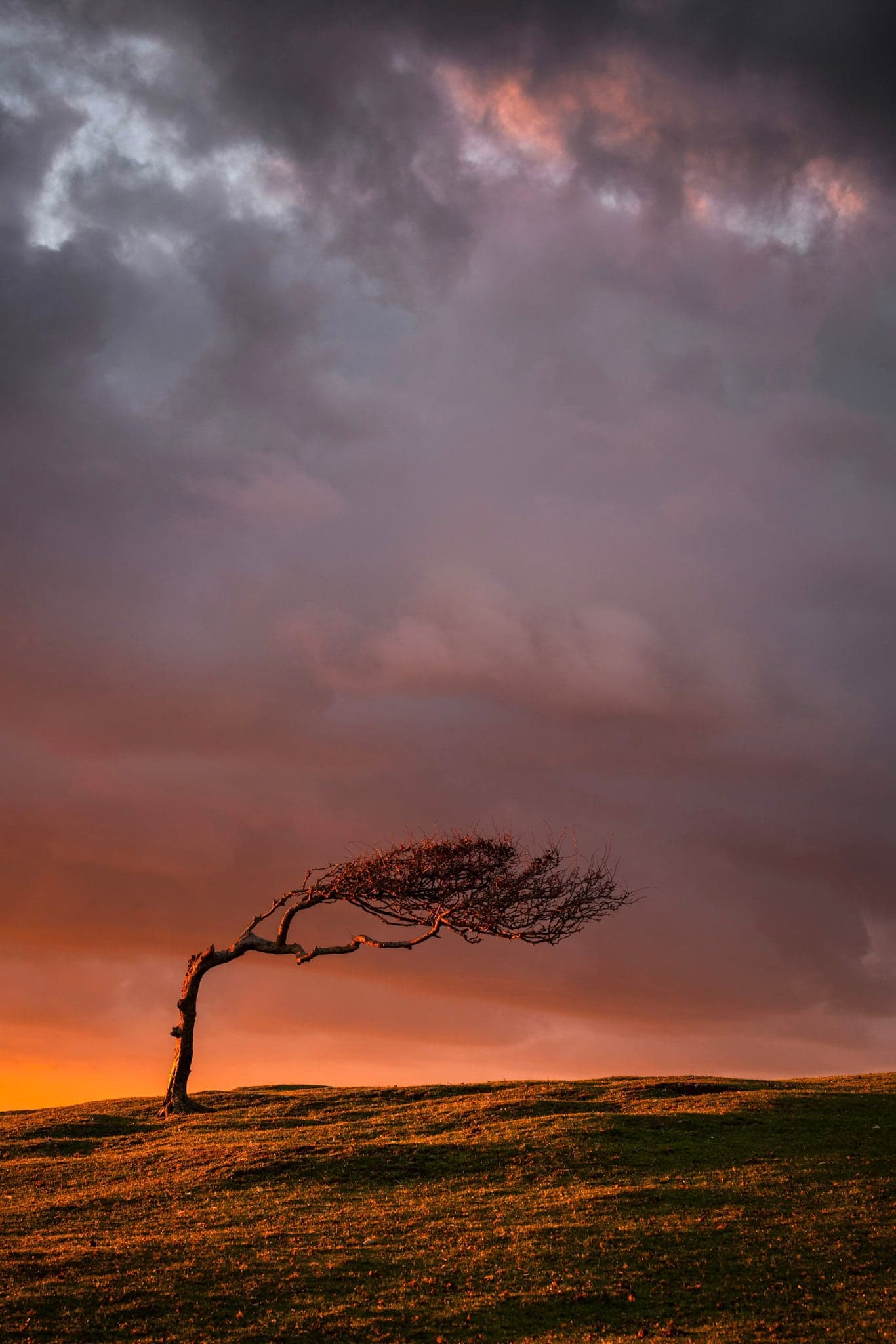 Alone