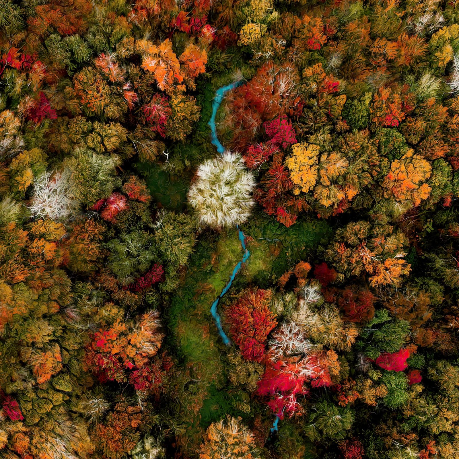 Aerial Nature