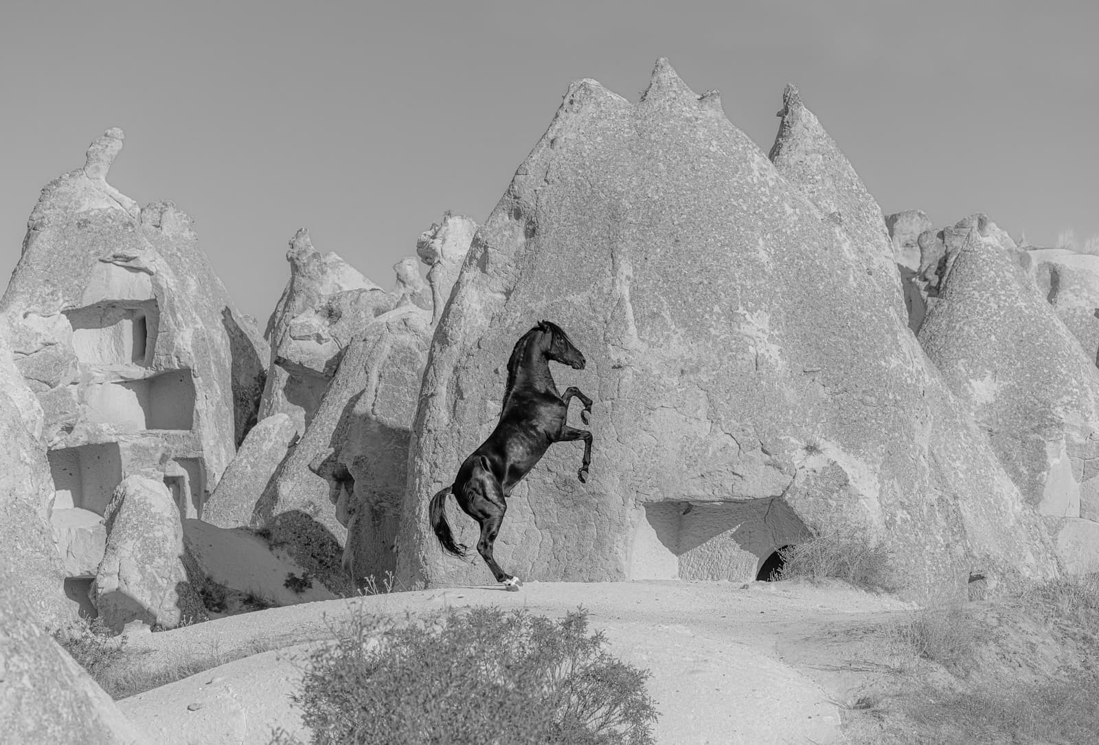 The Dance of Stone