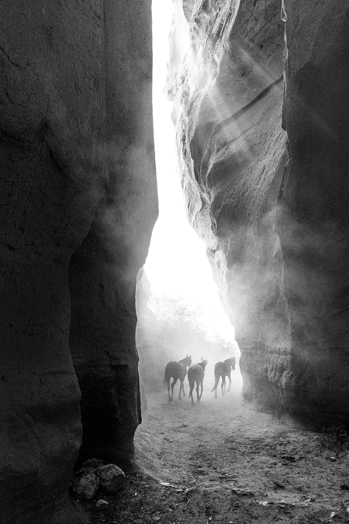 Long Way Home