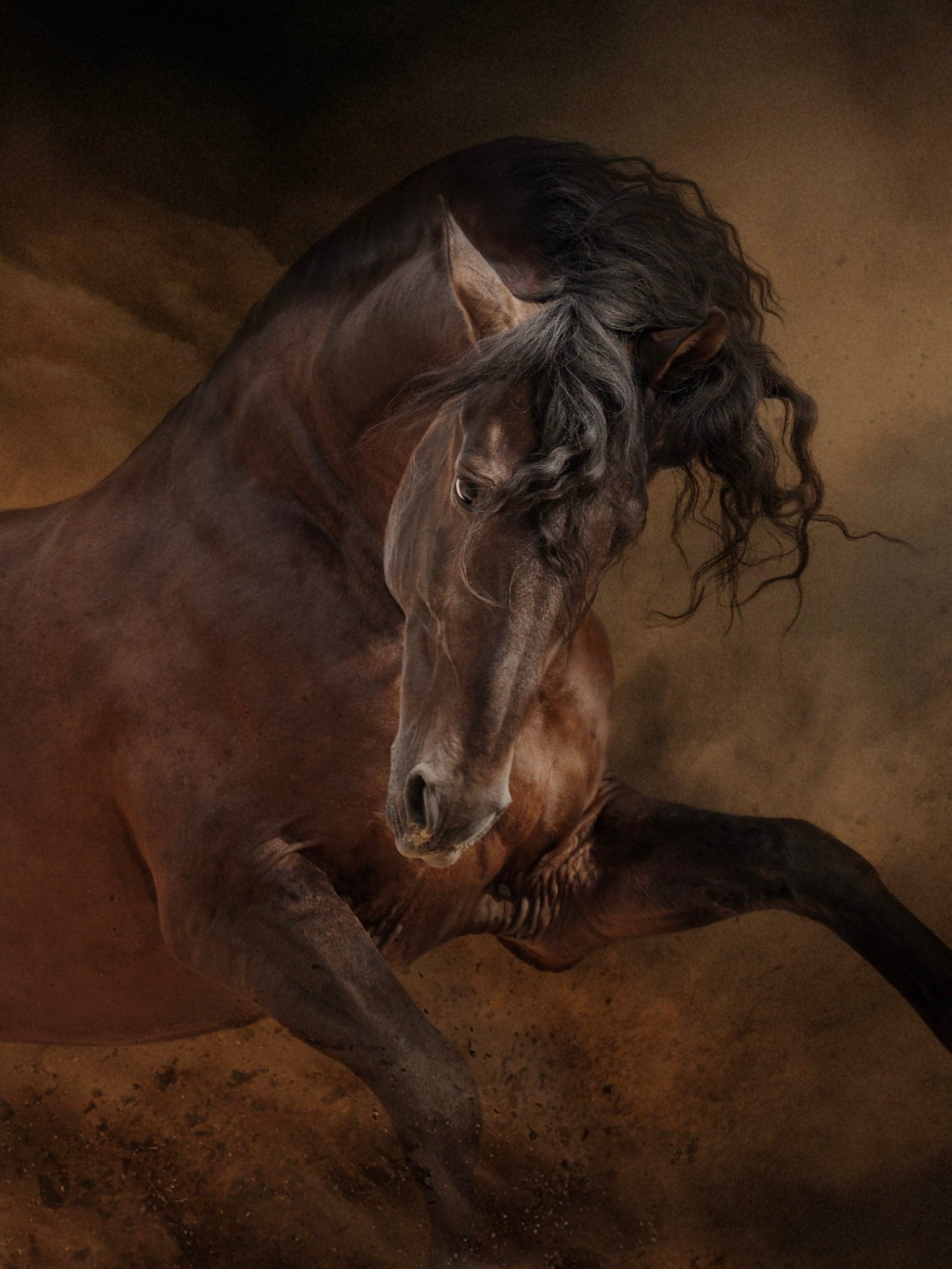 Ember and Dust