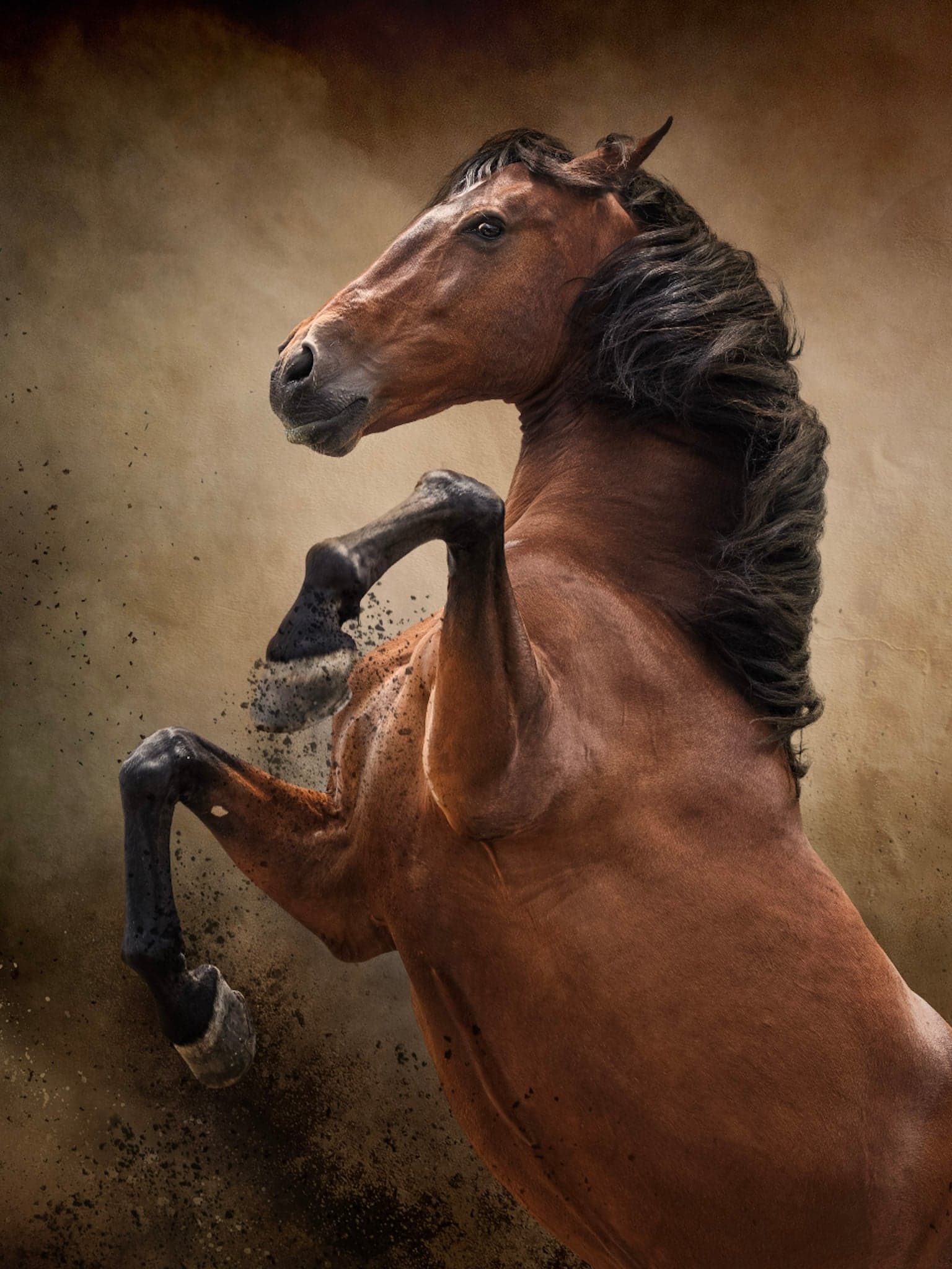 UNBRIDLED
