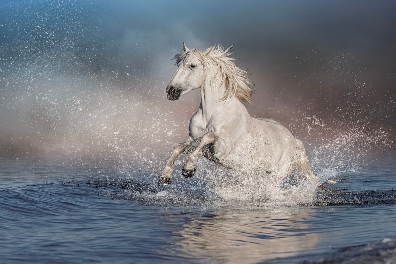 UNBRIDLED