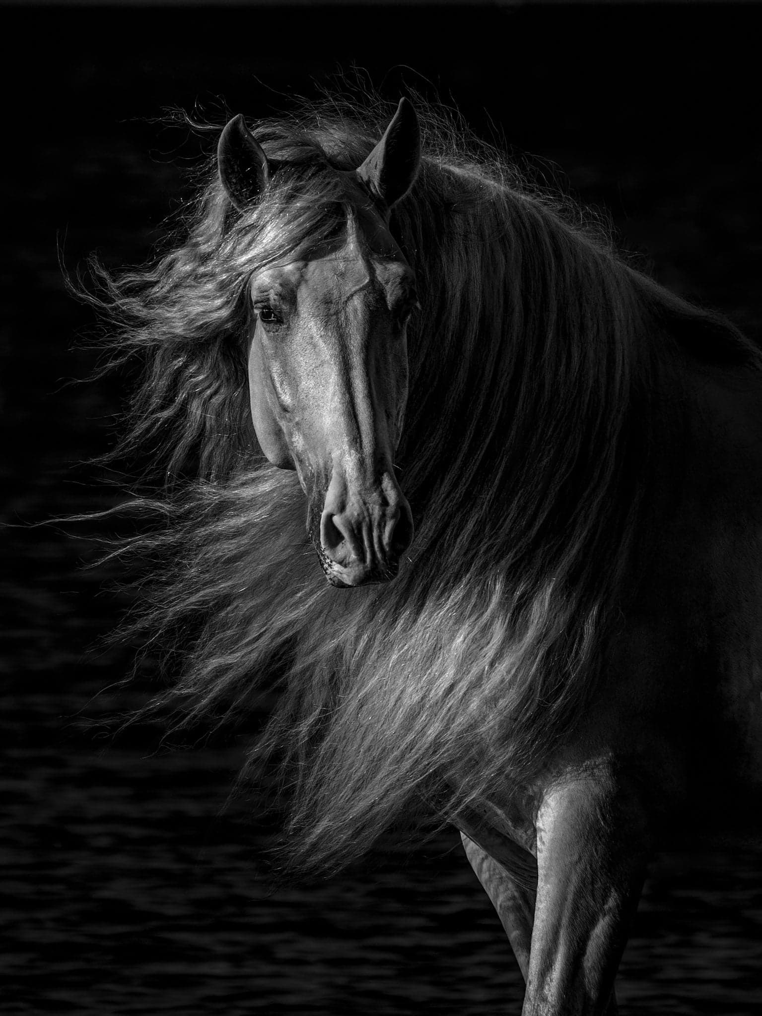 Dark Water - BW