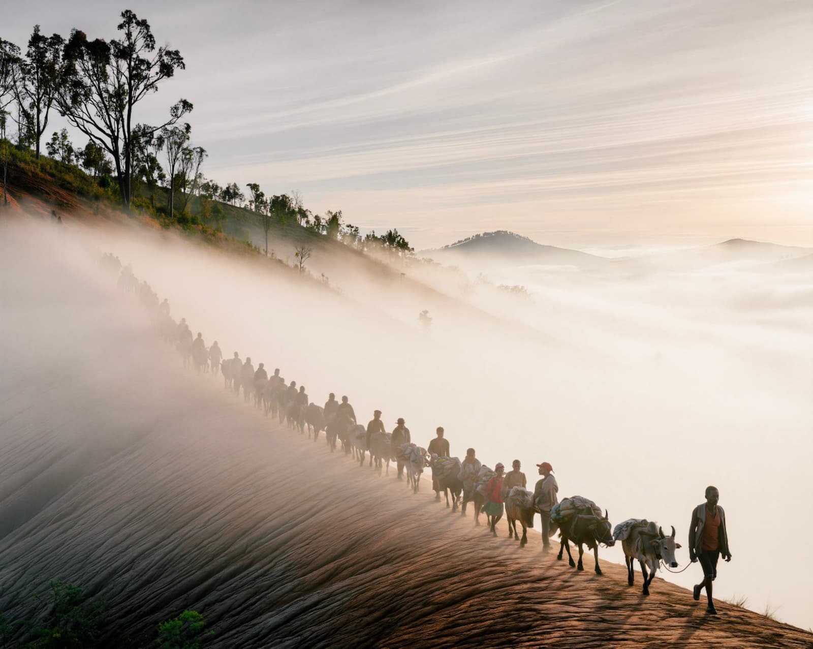 The Long Crossing