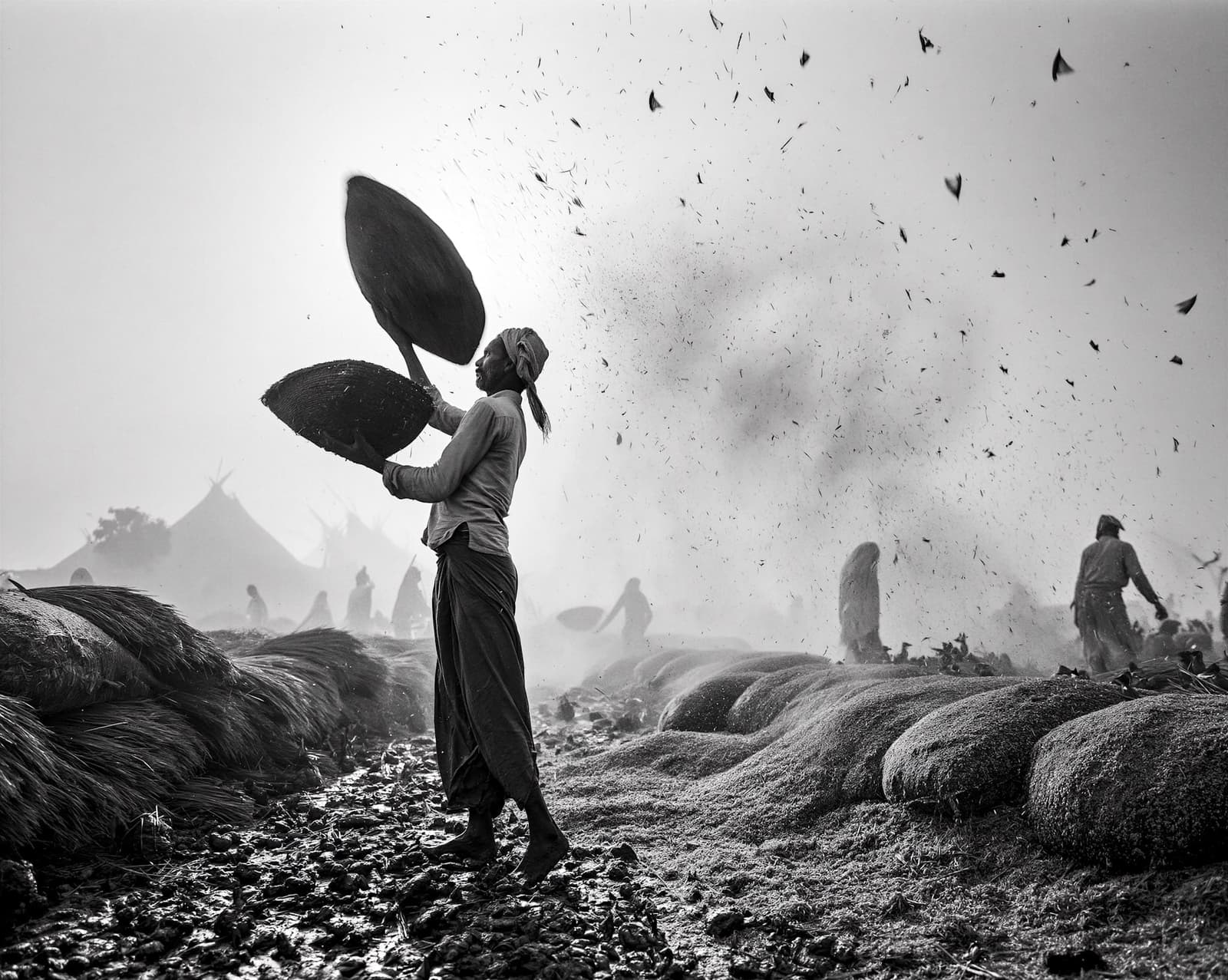La portadora de los campos