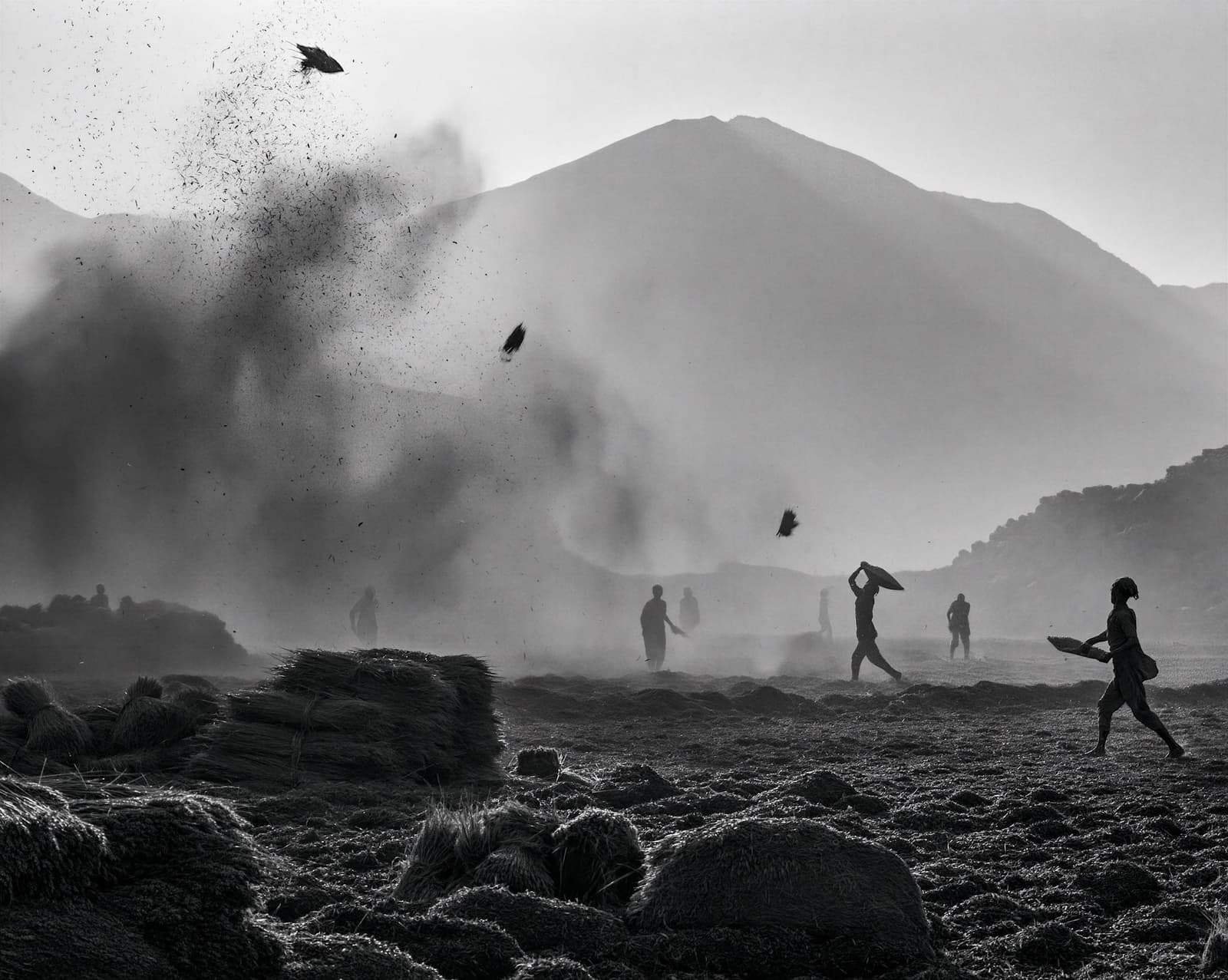 Tierra de niebla