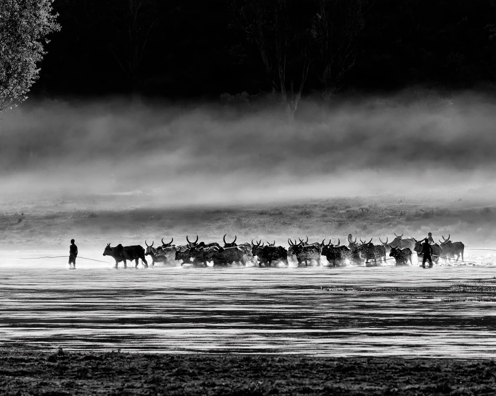 La travesía del silencio