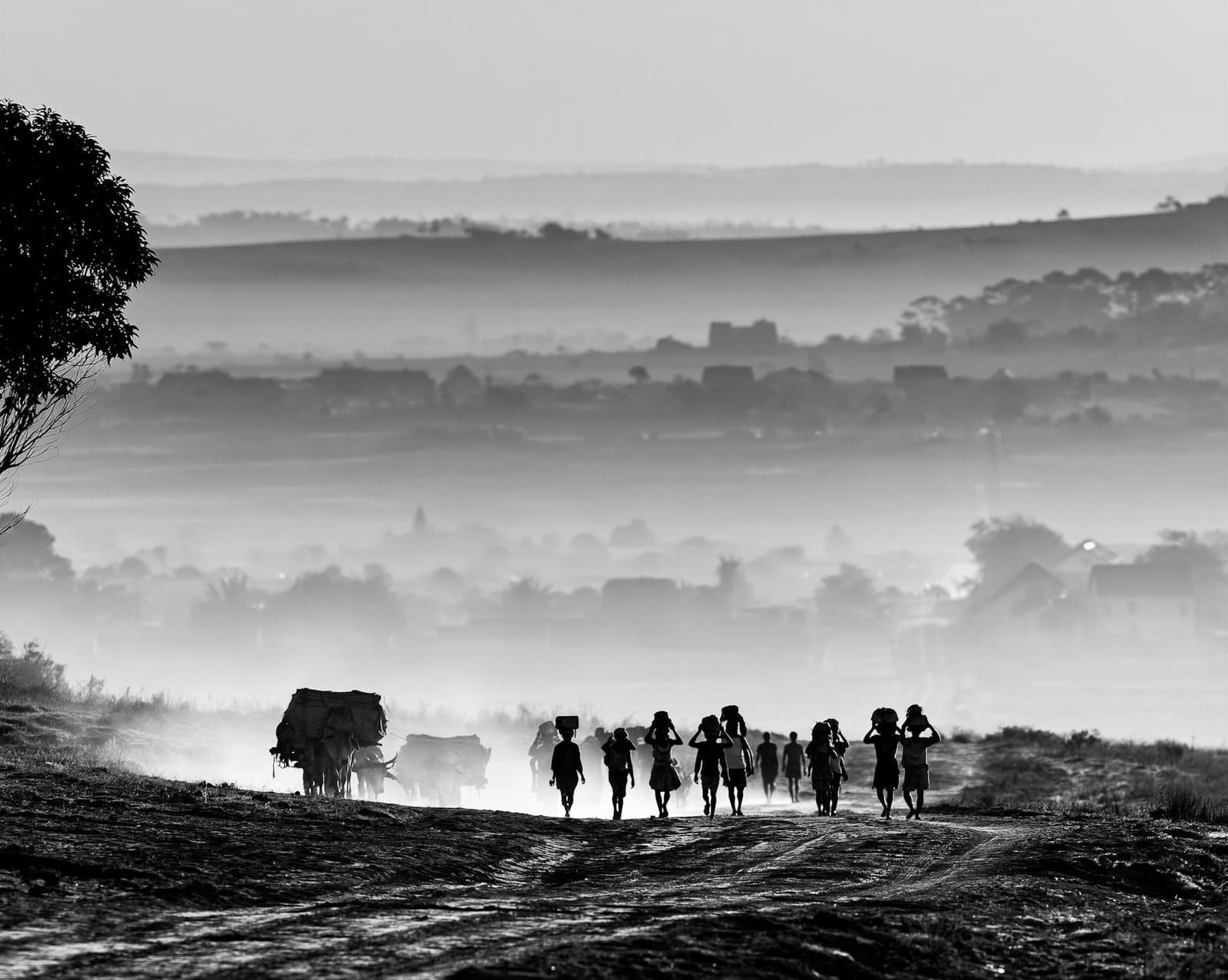 El camino de regreso