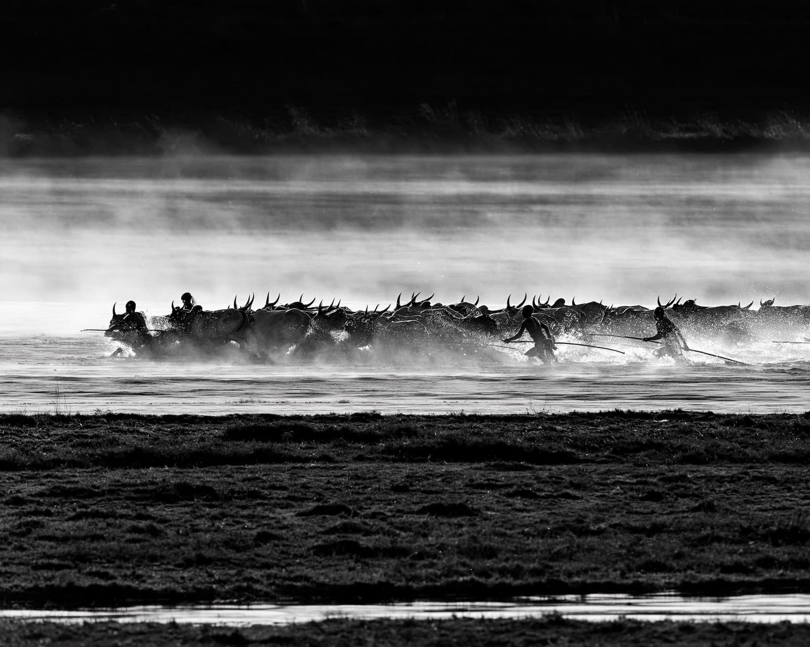 Entre tierra y agua