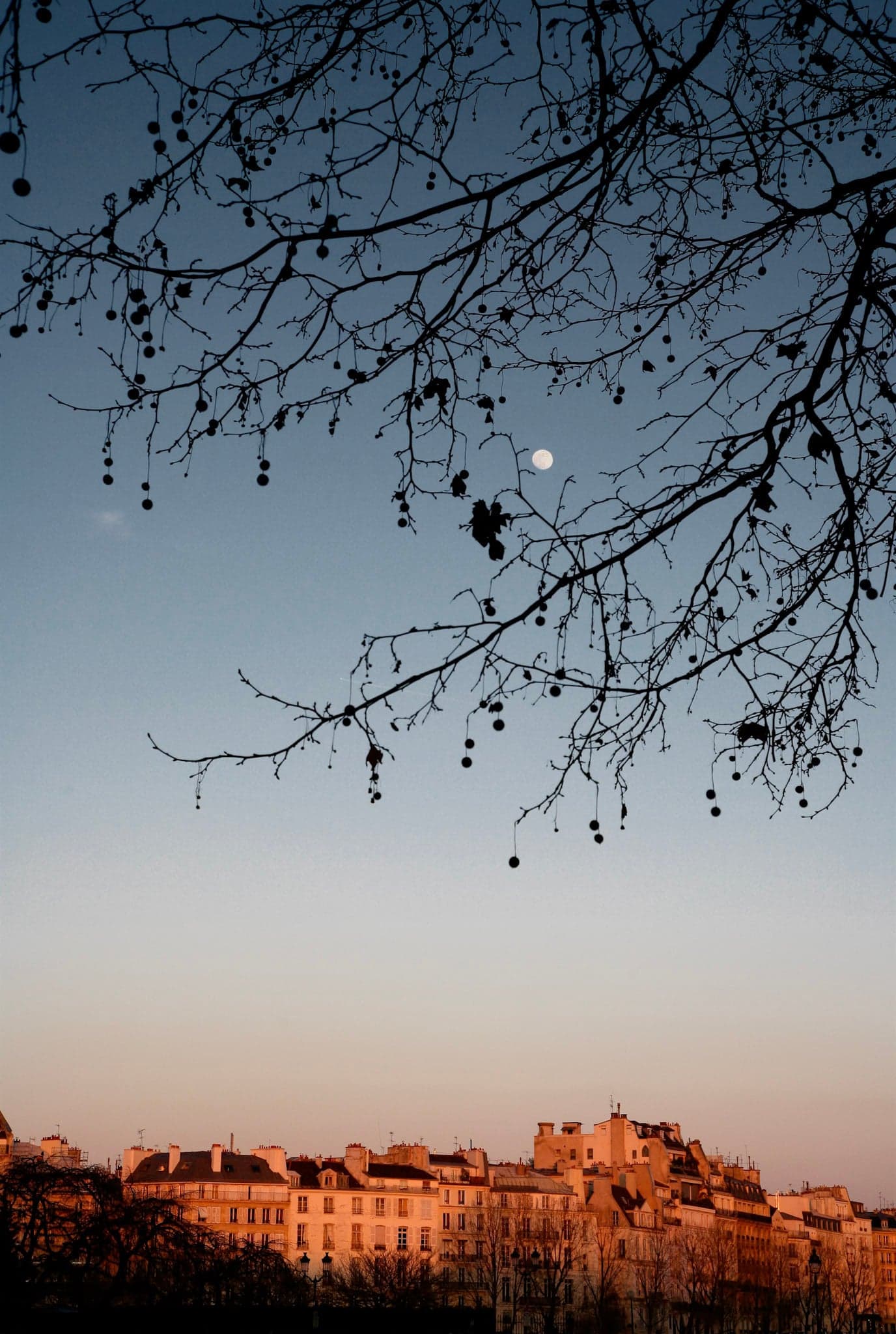 Crépuscule parisien
