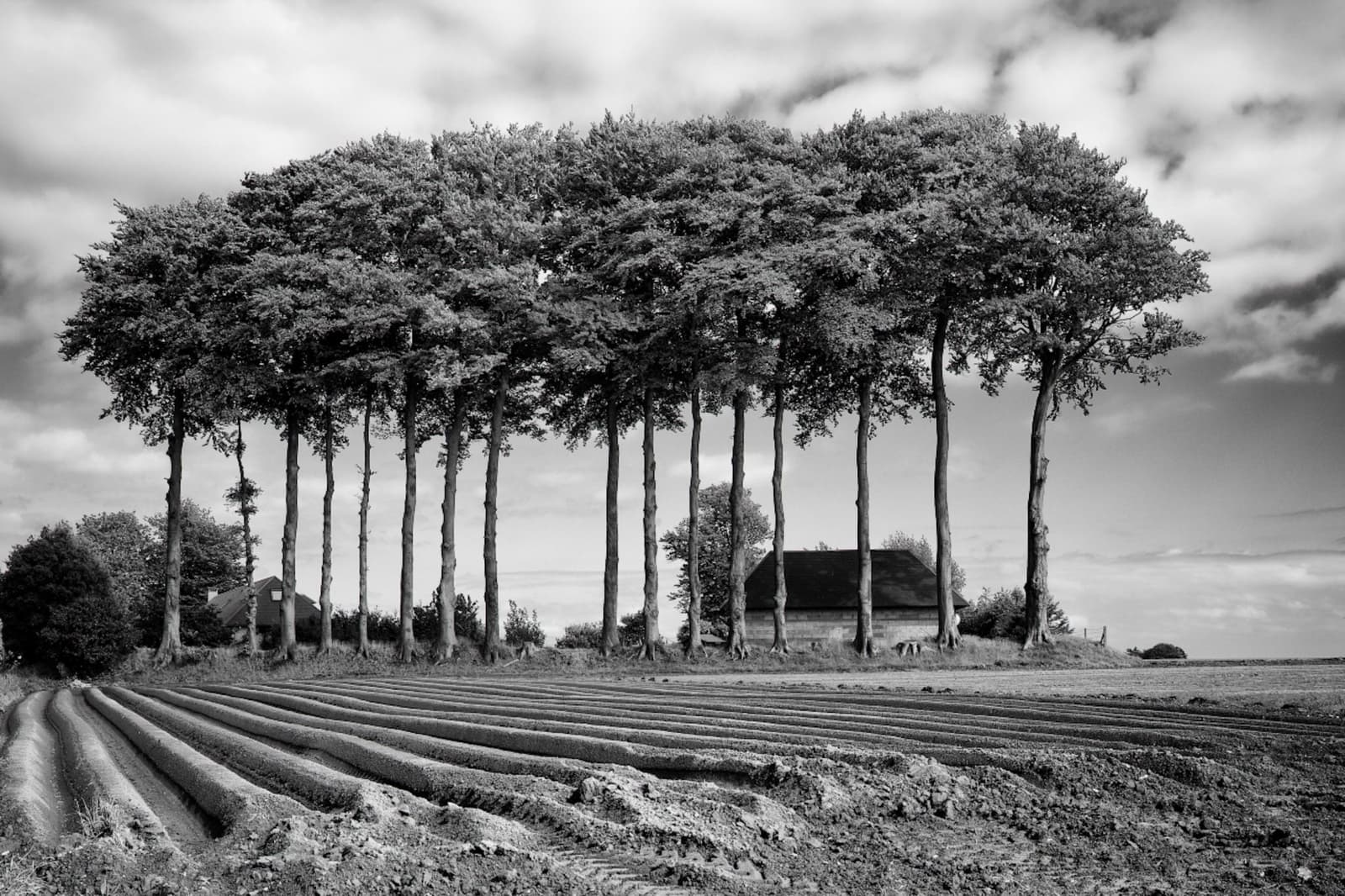 L'Orée des sillons