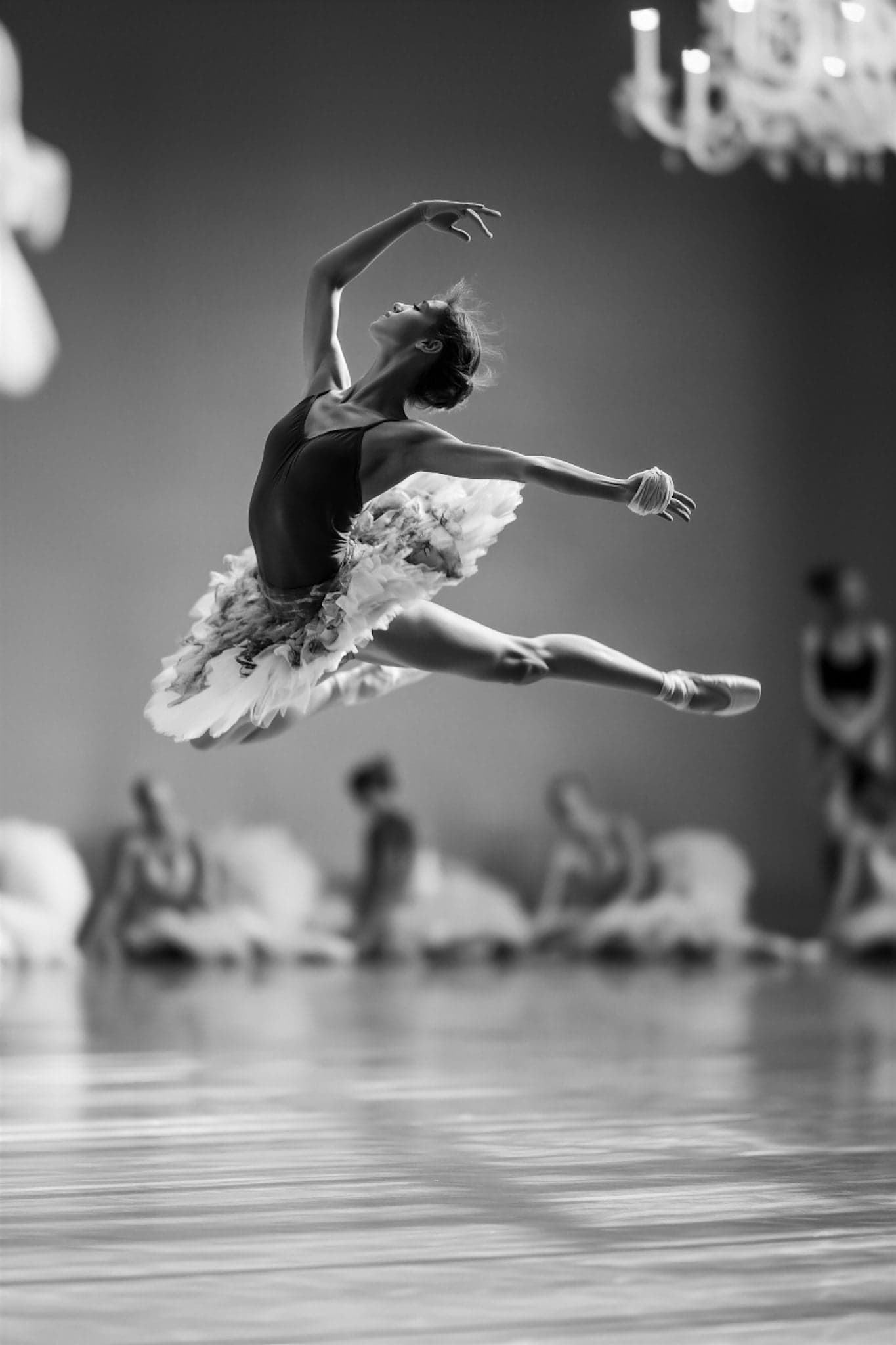 Rite of Spring