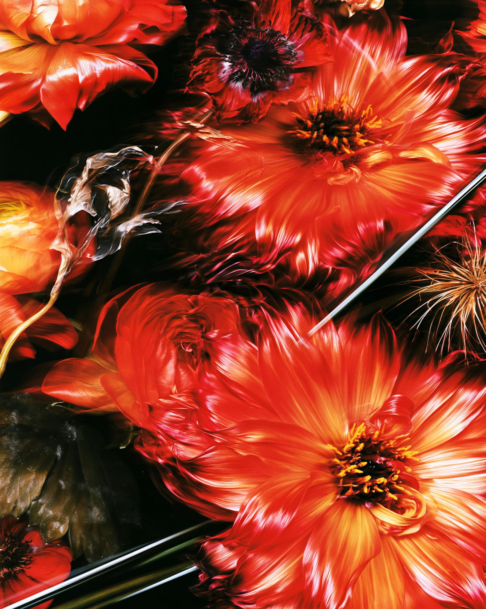 Las flores del amor