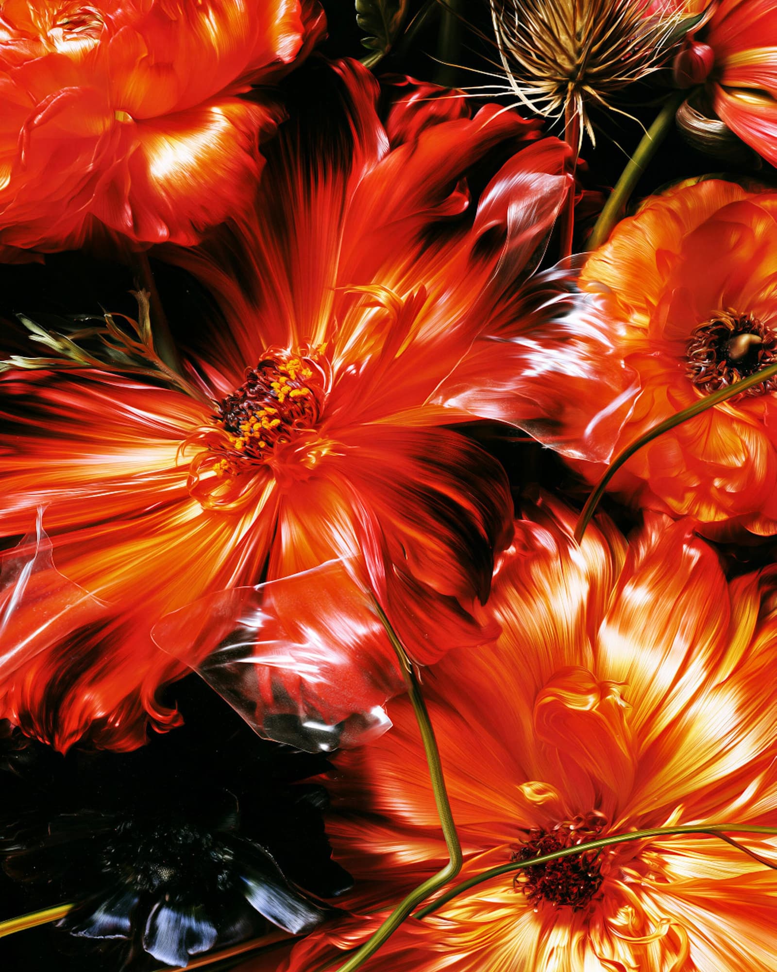 Las flores del amor