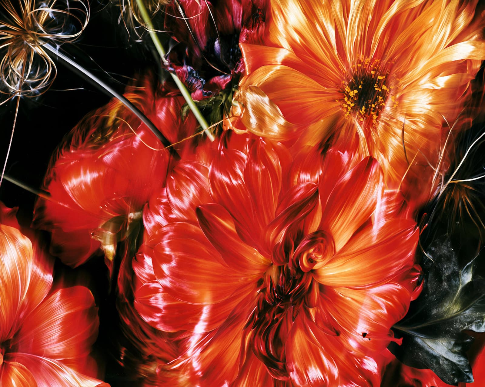 Las flores del amor