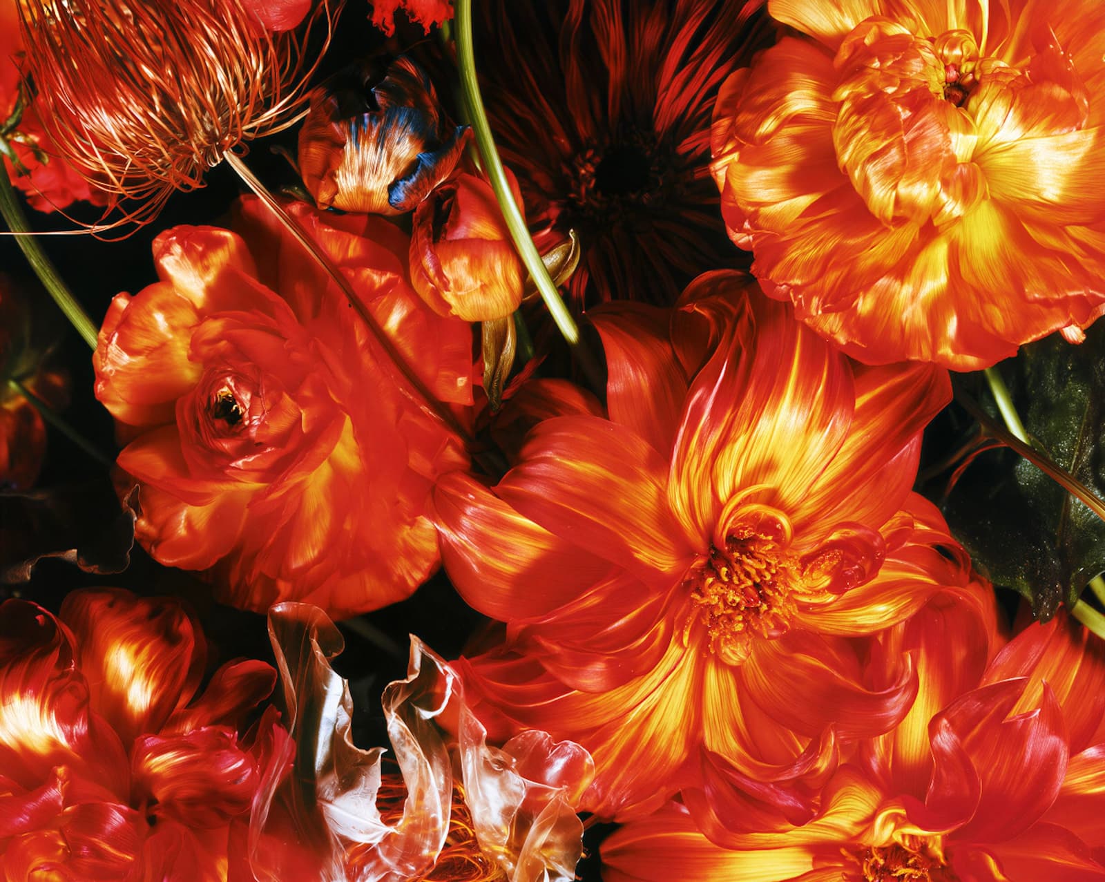 Las flores del amor