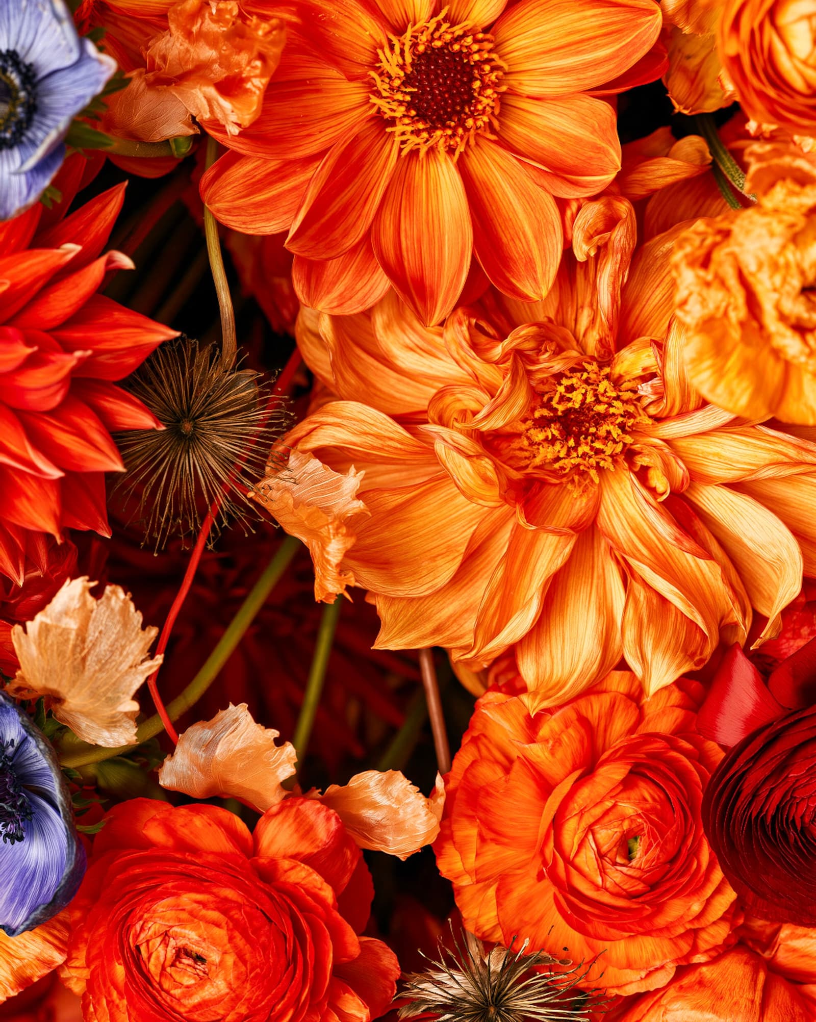 Las flores del amor