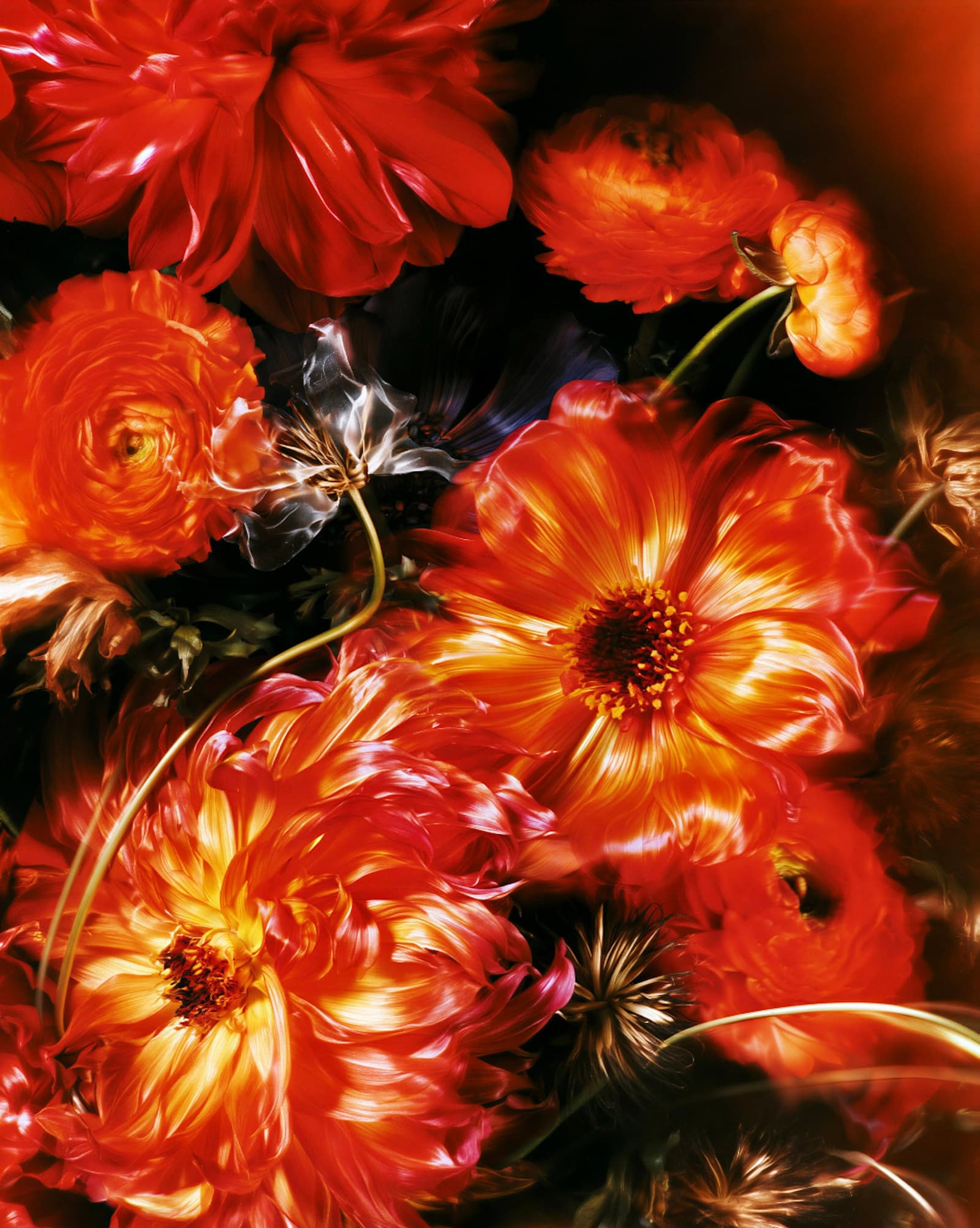 Las flores del amor