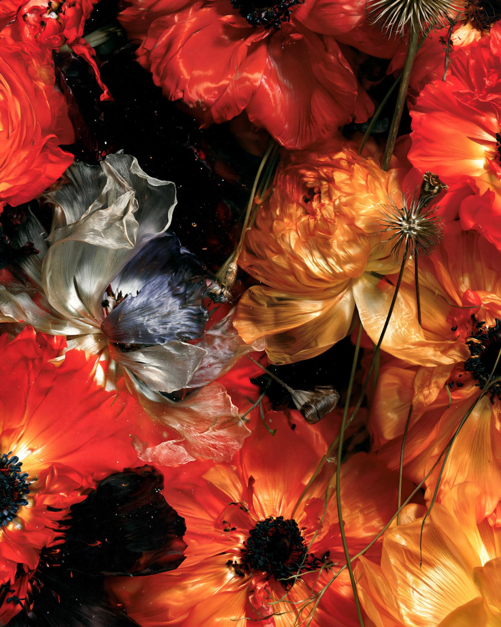 Las flores del amor