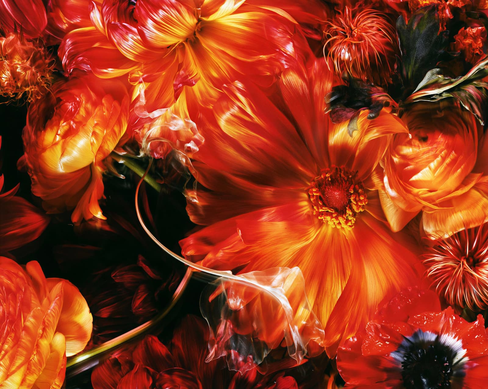Las flores del amor
