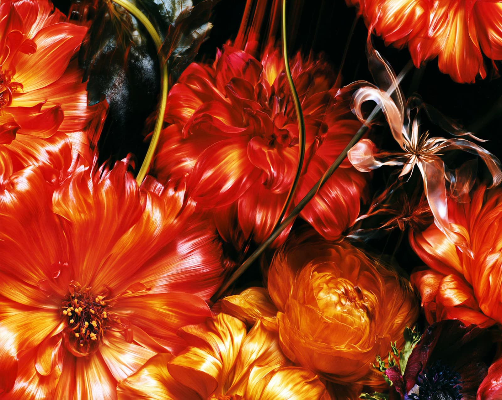 Las flores del amor