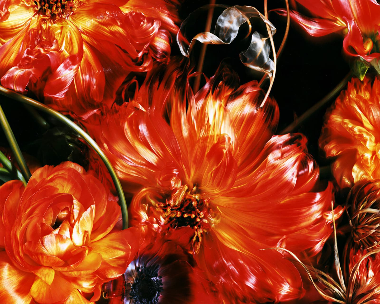 Las flores del amor