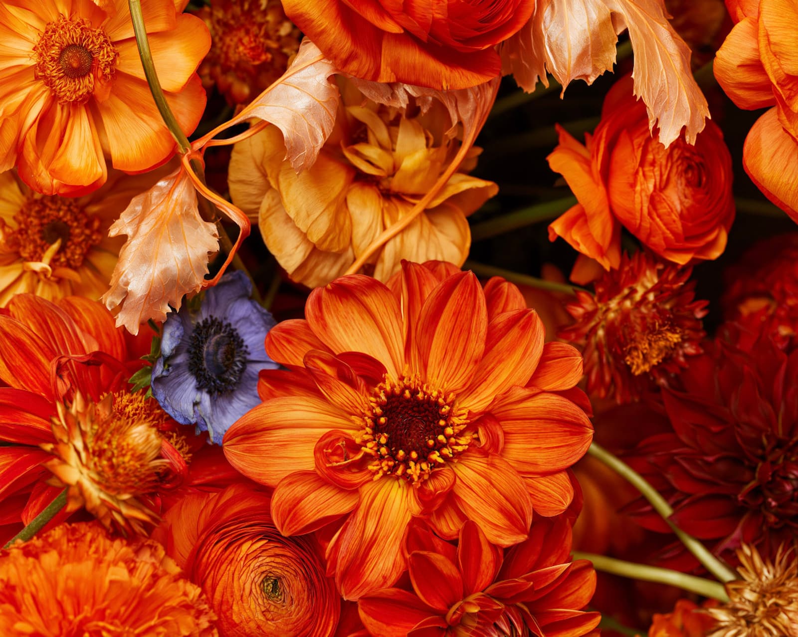 Las flores del amor