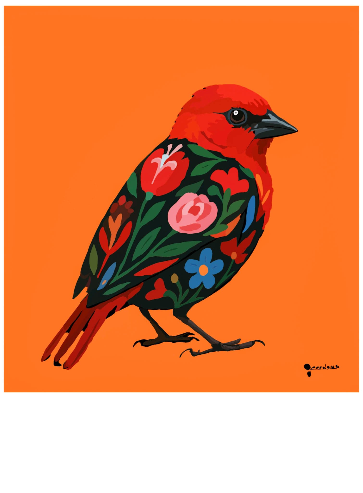 Painted Cardinal